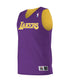 Alleson Logoed NBA Reversible